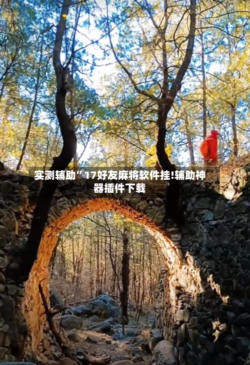 实测辅助	”17好友麻将软件挂!辅助神器插件下载-第1张图片