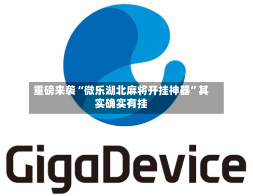 重磅来袭“微乐湖北麻将开挂神器	”其实确实有挂-第1张图片