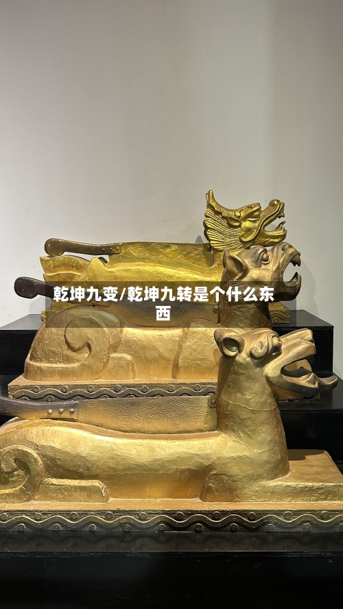 乾坤九变/乾坤九转是个什么东西-第1张图片