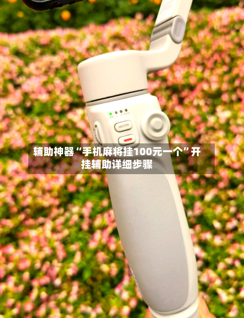 辅助神器“手机麻将挂100元一个”开挂辅助详细步骤-第1张图片