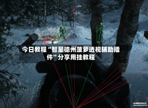 今日教程“智星德州菠萝透视辅助插件”分享用挂教程-第1张图片