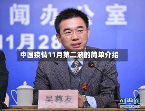 中国疫情11月第二波的简单介绍-第1张图片