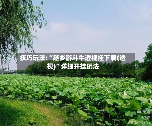 技巧玩法:“越乡游斗牛透视挂下载(透视)”详细开挂玩法-第1张图片