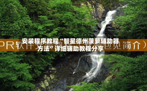 安装程序教程“智星德州菠萝辅助器方法”详细辅助教程分享-第1张图片