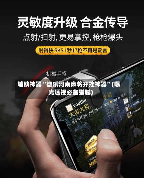 辅助神器“微乐河南麻将开挂神器”(曝光透视必备猫腻)-第1张图片