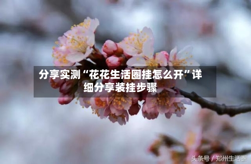 分享实测“花花生活圈挂怎么开”详细分享装挂步骤-第1张图片