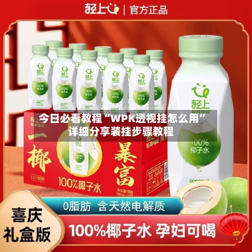 今日必看教程“WPK透视挂怎么用	”详细分享装挂步骤教程-第1张图片