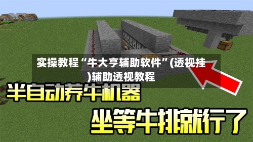 实操教程“牛大亨辅助软件	”(透视挂)辅助透视教程-第1张图片