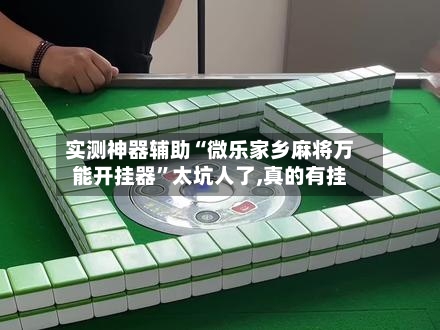 实测神器辅助“微乐家乡麻将万能开挂器”太坑人了,真的有挂-第1张图片
