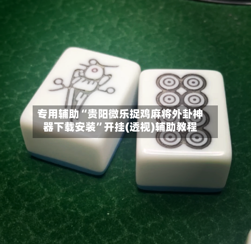专用辅助“贵阳微乐捉鸡麻将外卦神器下载安装	”开挂(透视)辅助教程-第1张图片