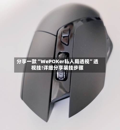 分享一款“WePOKer私人局透视	”透视挂!详细分享装挂步骤-第1张图片
