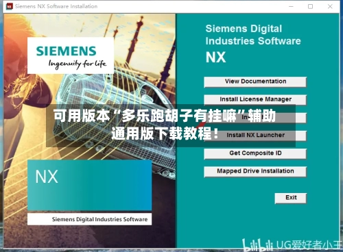 可用版本“多乐跑胡子有挂嘛”辅助通用版下载教程！-第1张图片