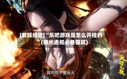 [教程经验]“乐吧游戏是怎么开挂的”(曝光透视必备猫腻)-第1张图片
