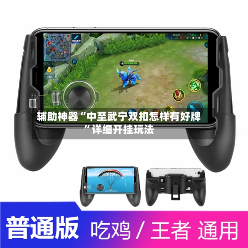 辅助神器“中至武宁双扣怎样有好牌	”详细开挂玩法-第1张图片