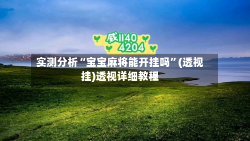 实测分析“宝宝麻将能开挂吗”(透视挂)透视详细教程-第1张图片