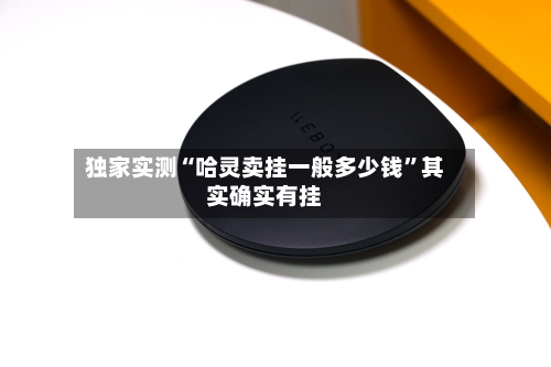 独家实测“哈灵卖挂一般多少钱”其实确实有挂-第1张图片