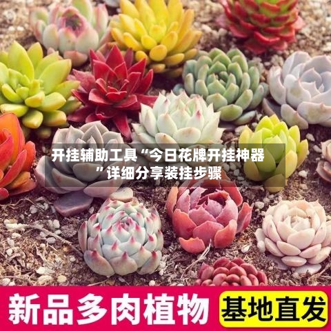 开挂辅助工具“今日花牌开挂神器”详细分享装挂步骤-第1张图片