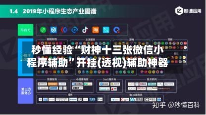 秒懂经验“财神十三张微信小程序辅助”开挂(透视)辅助神器-第1张图片