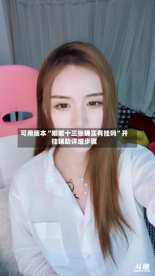 可用版本“嘟嘟十三张确实有挂吗”开挂辅助详细步骤-第1张图片