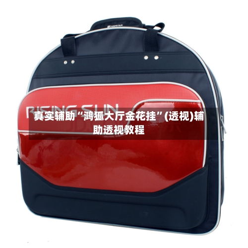 真实辅助“鸿狐大厅金花挂	”(透视)辅助透视教程-第1张图片