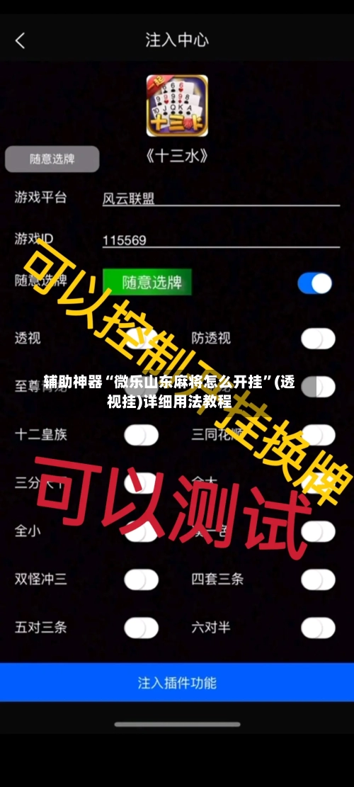辅助神器“微乐山东麻将怎么开挂”(透视挂)详细用法教程-第1张图片