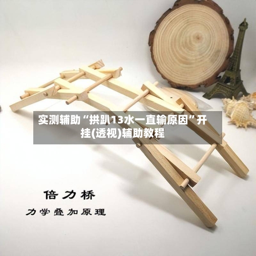 实测辅助“拱趴13水一直输原因”开挂(透视)辅助教程-第1张图片