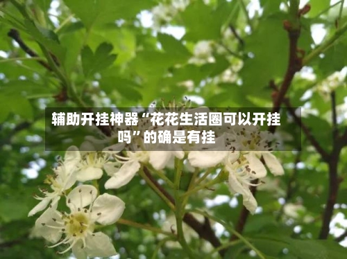 辅助开挂神器“花花生活圈可以开挂吗”的确是有挂-第1张图片