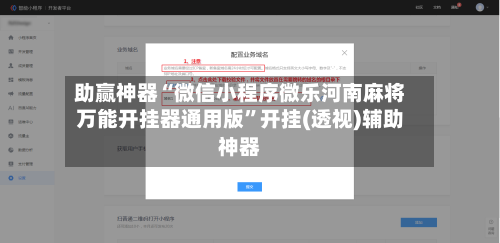 助赢神器“微信小程序微乐河南麻将万能开挂器通用版”开挂(透视)辅助神器-第1张图片