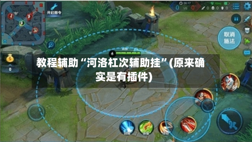 教程辅助“河洛杠次辅助挂”(原来确实是有插件)-第1张图片