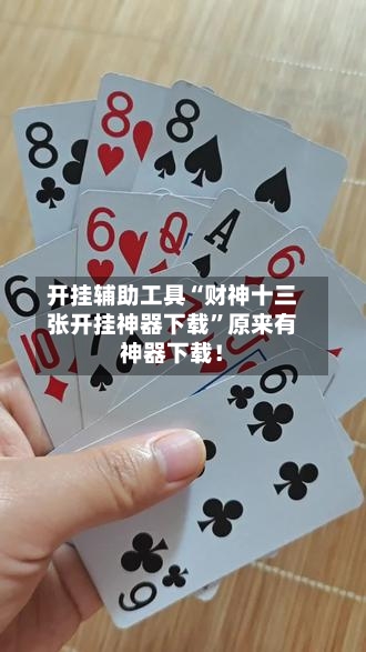 开挂辅助工具“财神十三张开挂神器下载	”原来有神器下载！-第1张图片
