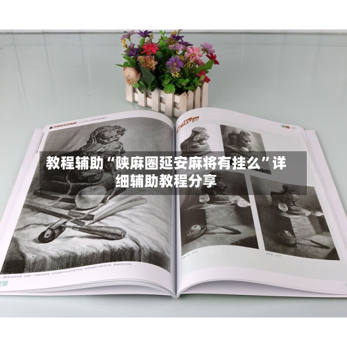 教程辅助“陕麻圈延安麻将有挂么”详细辅助教程分享-第1张图片