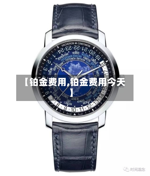 【铂金费用,铂金费用今天】-第1张图片