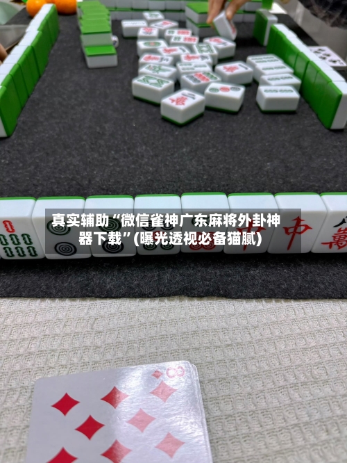 真实辅助“微信雀神广东麻将外卦神器下载	”(曝光透视必备猫腻)-第1张图片