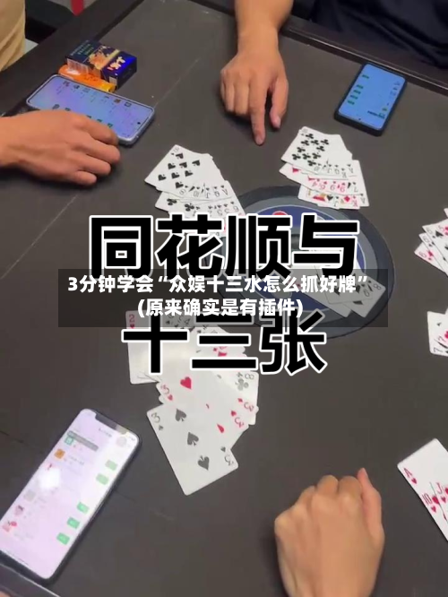 3分钟学会“众娱十三水怎么抓好牌”(原来确实是有插件)-第1张图片