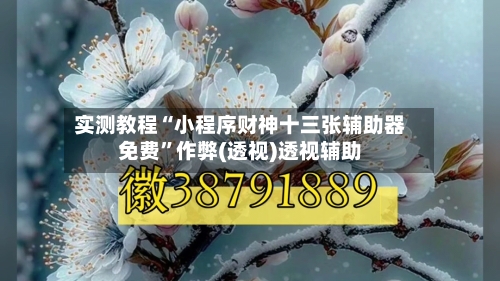 实测教程“小程序财神十三张辅助器免费”作弊(透视)透视辅助-第1张图片