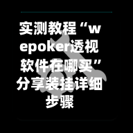 实测教程“wepoker透视软件在哪买”分享装挂详细步骤-第1张图片