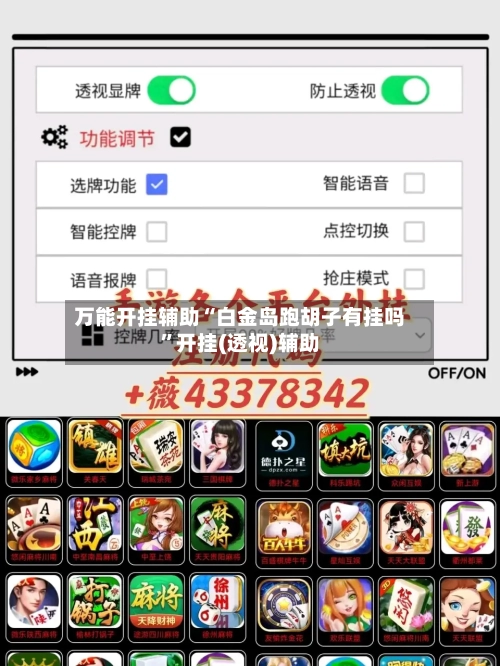 万能开挂辅助“白金岛跑胡子有挂吗”开挂(透视)辅助-第1张图片