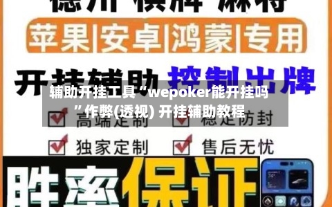 辅助开挂工具“wepoker能开挂吗”作弊(透视) 开挂辅助教程-第1张图片