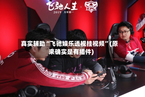 真实辅助“飞驰娱乐透视挂视频”(原来确实是有插件)-第1张图片