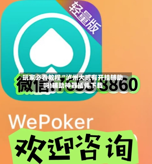 玩家必看教程“泸州大贰有开挂辅助吗!辅助神器插件下载-第1张图片