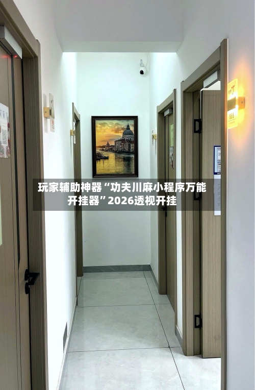 玩家辅助神器“功夫川麻小程序万能开挂器”2026透视开挂-第1张图片