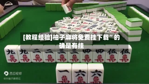 [教程经验]柚子麻将免费挂下载”的确是有挂-第1张图片