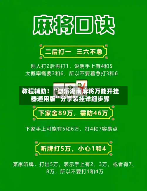 教程辅助！“微乐湖南麻将万能开挂器通用版	”分享装挂详细步骤-第1张图片