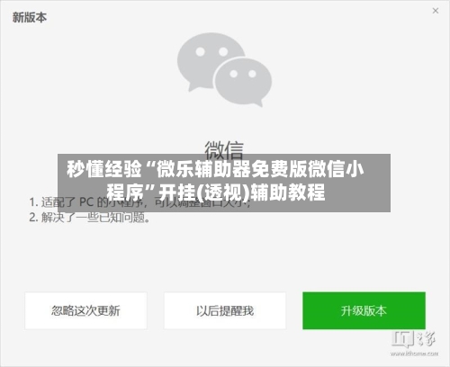 秒懂经验“微乐辅助器免费版微信小程序”开挂(透视)辅助教程-第1张图片