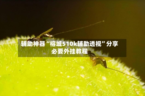辅助神器“榕城510k辅助透视”分享必要外挂教程-第1张图片