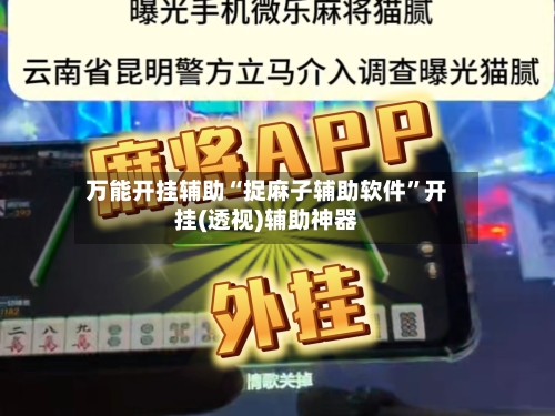 万能开挂辅助“捉麻子辅助软件”开挂(透视)辅助神器-第1张图片