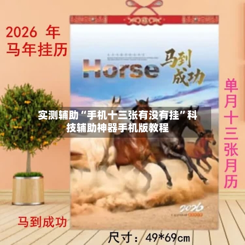 实测辅助“手机十三张有没有挂	”科技辅助神器手机版教程-第1张图片