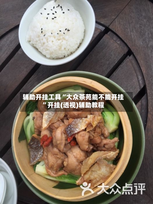 辅助开挂工具“大众茶苑能不能开挂”开挂(透视)辅助教程-第1张图片