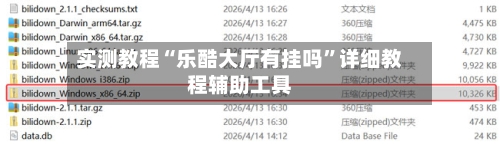 实测教程“乐酷大厅有挂吗	”详细教程辅助工具-第1张图片