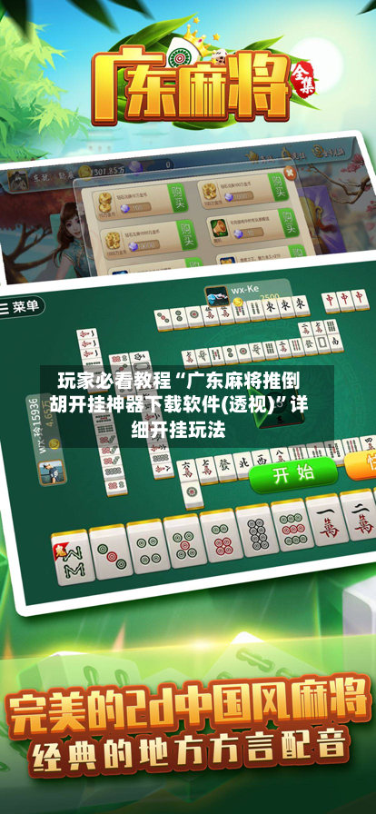 玩家必看教程“广东麻将推倒胡开挂神器下载软件(透视)”详细开挂玩法-第1张图片